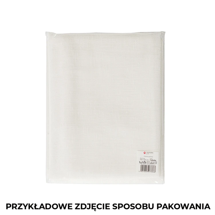 ETAMINA Firana gotowa na srebrnych przelotkach 400x240 cm biała
